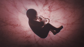 170118 xtrashot composed v1 %2800000%29