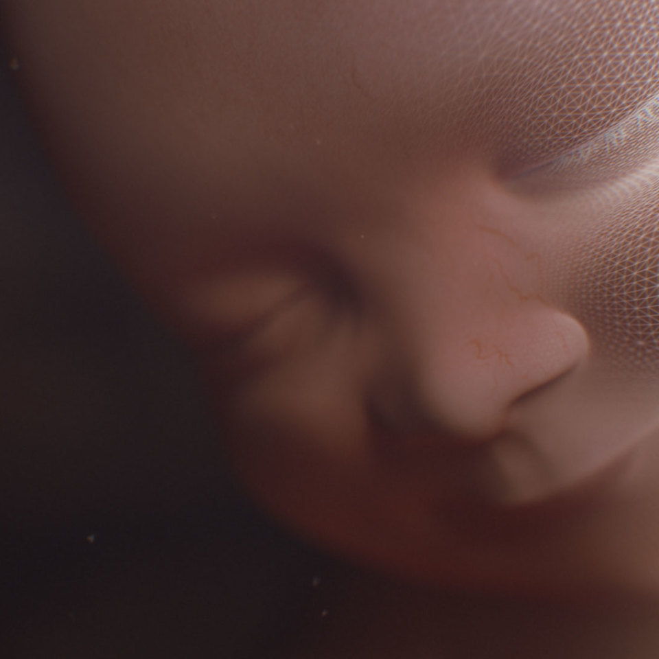 Smilling finetune wireframe fr060